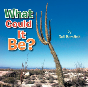 Gail Bornfield Book Cover